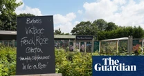 Burford garden centre: how did it become the UK’s hottest celebrity haunt?