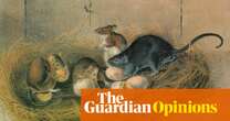 A rat: ‘We can no longer live as rats: we know too much’