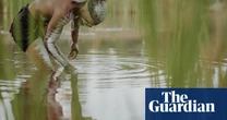 Adani’s Queensland coalmine a threat to important wetland, Indigenous groups and scientists say