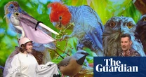 Matilda Boseley sports homemade pelican outfit to talk bird of the year on ABC – video