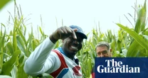 ‘I didn’t realise pigs were like, massive’: the London rapper who fell in love with farming