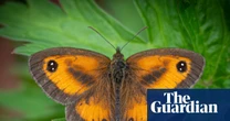 Air pollution filters help scientists produce first UK wildlife survey using eDNA