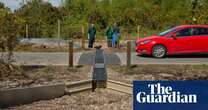 Adder girl! Tunnels aim to encourage British snakes to mix and breed