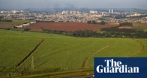 Brazil to ask countries to quadruple biofuel use, leak suggests