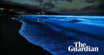 ‘Heck of a light show’: spectacular bloom of bioluminescence returns to Tasmania’s coastline