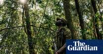 The rangers turning the DRC’s ‘triangle of death’ back into a thriving wildlife reserve