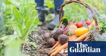 Residents near Lancashire chemicals plant told to wash homegrown produce