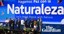 Alarm grows over ‘disturbing’ lack of progress to save nature at Cop16