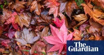 National Trust and TV wildlife expert team up on autumn nature campaign