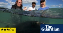 Shark! Celebrity Infested Waters review – a lovely watch … despite the stars’ total fear and panic