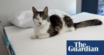 The best mattress toppers for a more comfortable night’s sleep, tested