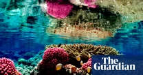 Court overrides Trump officials’ rollback and blocks fishing in Pacific Islands monument