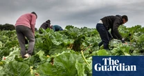 Post-Brexit licences for exporting food to EU cost UK firms up to £65m last year