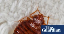 Booking.com ignored me after my bedbug nightmare