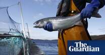 Scottish salmon producers allowed to remove ‘farmed’ from front of packaging