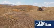 ‘The land is becoming desert’: drought pushes Sicily’s farming heritage to the brink