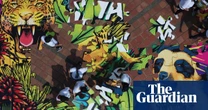 Crucial UN nature talks are about to reopen in Rome – but will enough countries turn up?