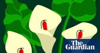 Could nature itself hold the solution to climate change?