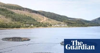 Millions of salmon deaths at Scottish farms disclosed after watchdog’s ruling