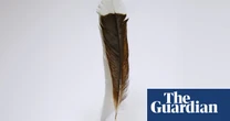 More valuable than gold: New Zealand feather becomes most expensive in the world