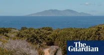 The island that banned hives: can honeybees actually harm nature?
