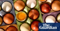 ‘Delicious, affordable everyday eating’: supermarket free-range eggs, tasted and rate | The food filterd