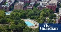 ‘The tree is trying its best’: why New Yorkers are counting – and rating – every park tree