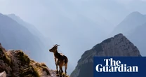 ‘If you love adventure but not tourists’: readers’ favourite wild places in Europe