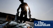 A supreme court case about fisherman is flying under the radar, but could soon ‘create chaos’