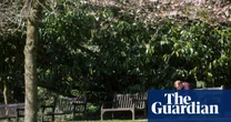 Public parks offer value that privately developed spaces can’t match | Letter