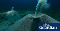 A seadragon and flushing worms: Environmental Photography Award winners – in pictures