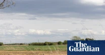 Nature loss will cut UK GDP by 5% without action from private sector, say experts