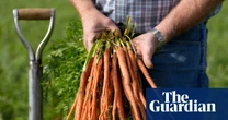 Nutrients in our food are declining. Can regenerative agriculture save it?
