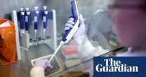 Scientists get creative in monitoring bird flu outbreak – by testing feces