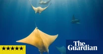 Ocean with David Attenborough review – a passionate case against the ruination of the seas