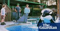 Serial tells the true tale of Free Willy’s titular whale