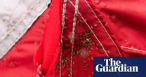 Midges thriving in wet Scottish summer – and experts say worse is to come