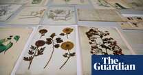 Plant specimens collected by Charles Darwin to be unveiled to the public