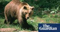 French hunter, 81, on trial for killing endangered bear that attacked him