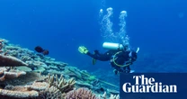 Great Barrier Reef suffers biggest annual drop in live coral since 1980s after devastating coral bleaching