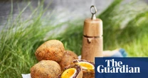 Food you can rely on for a decent picnic | Kitchen aide