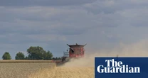 Meat is a leading emissions source – but few outlets report on it, analysis finds