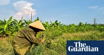 Farmers displaced by $1.5bn Trump golf course reportedly being offered rice and cash
