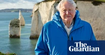 Ocean With David Attenborough to Anora: the seven best films to watch on TV this week