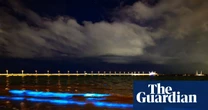 ‘Cosmic’ bioluminescent algae lights up Melbourne’s St Kilda beach