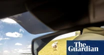 Farm workers at high risk amid screwworm outbreak in US south-west