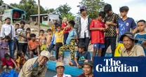 ‘Death spiral’: Mekong River megafish have shrunk by half, study reveals