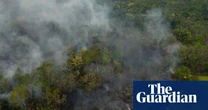 ‘Dismal’ health of world’s forests is threat to humanity, report warns