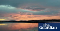 ‘We thought we’d got the numbers wrong’: Holloman Lake is a birder’s paradise – and has the highest levels of ‘forever chemicals’ on record