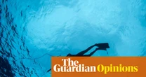 In my years of spearfishing, I’ve never encountered more sharks than now. But I know where I stand in the underwater pecking order | Clarke Gayford